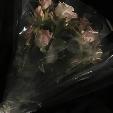 Profile image of 우치나가 애리