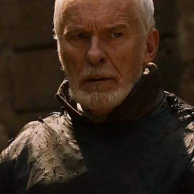 Profile image of Ser Barristan
