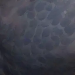 Profile image of 凛乃と凪