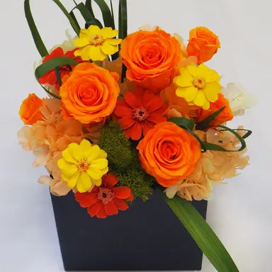 Profile image of マヒナ