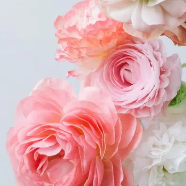 Profile image of モモカ