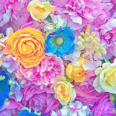 Profile image of ちゃんみな