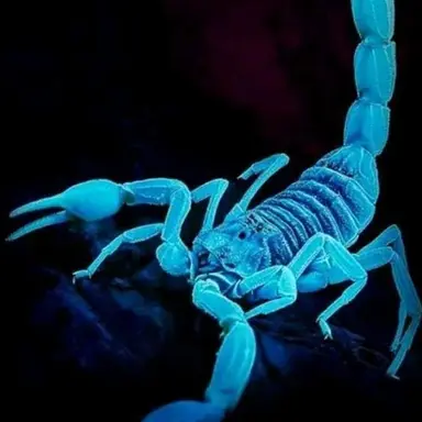Profile image of 스프라우트