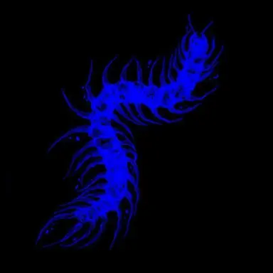 Profile image of 쉘리