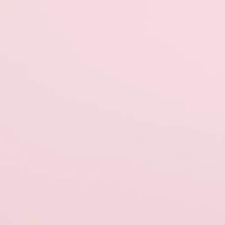 김동현