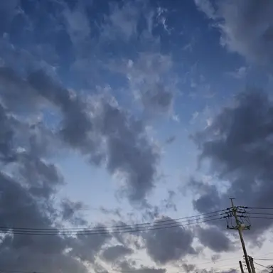 Profile image of 잠뜰