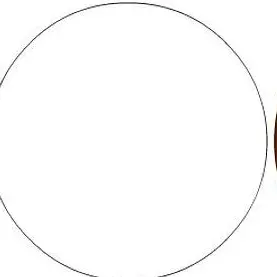 Profile image of White