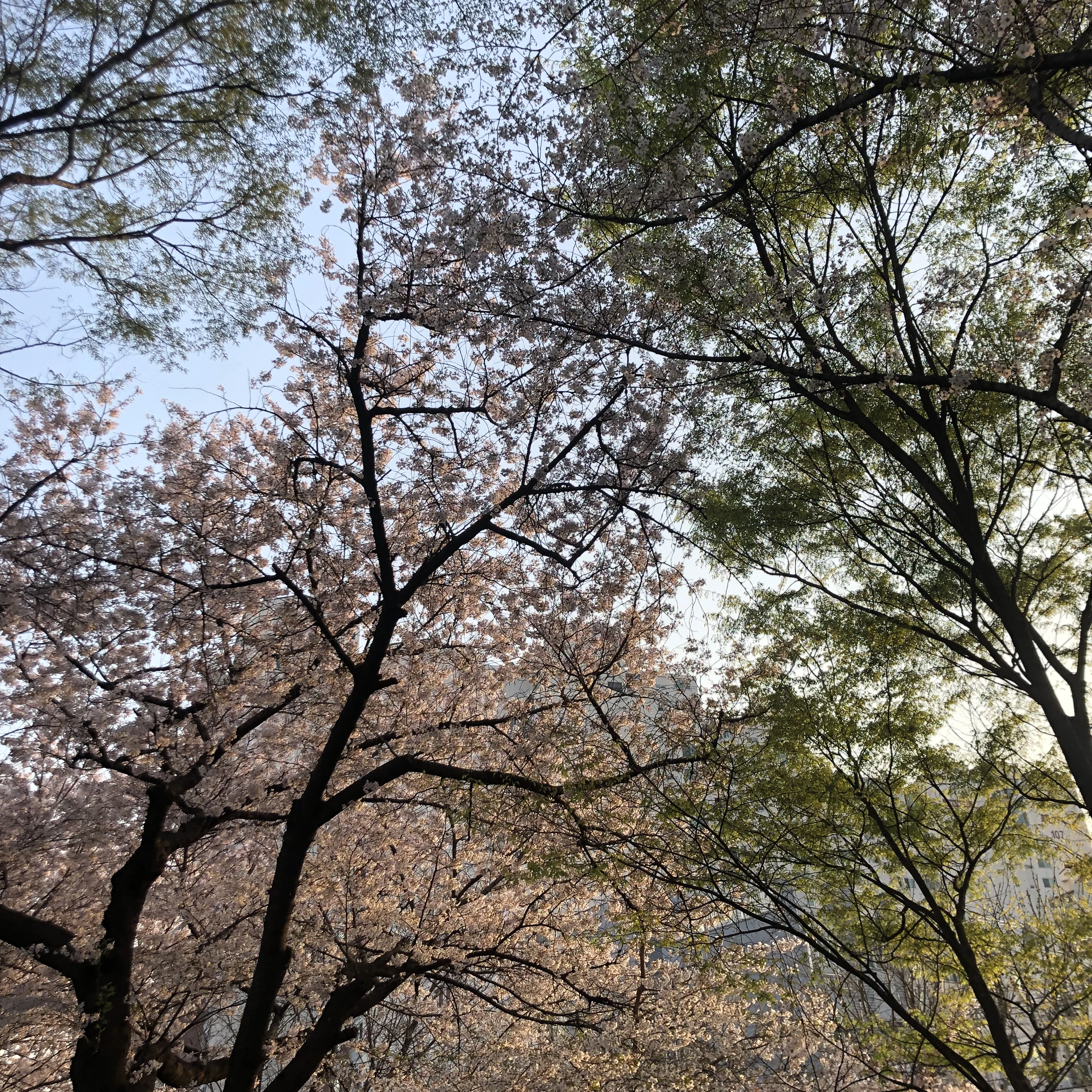 크루 일행들