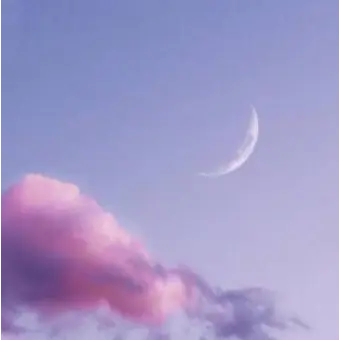 Profile image of 수현