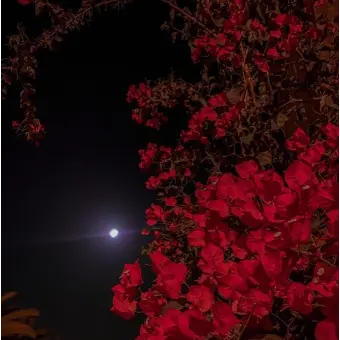 Profile image of 라더