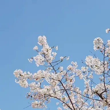 Profile image of 카이