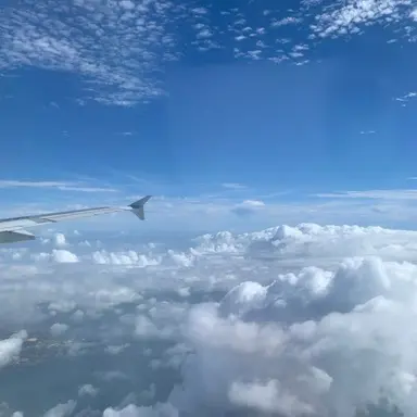 Profile image of 태혀니