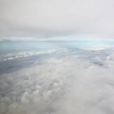 Profile image of 연주니