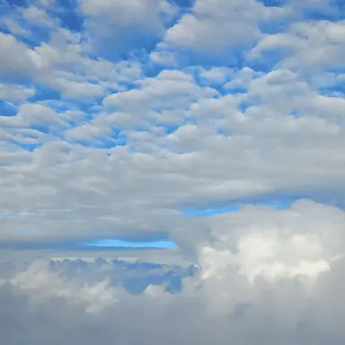 Profile image of 수비니