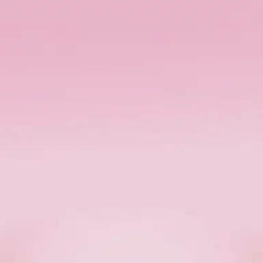 Profile image of 이터널슈가