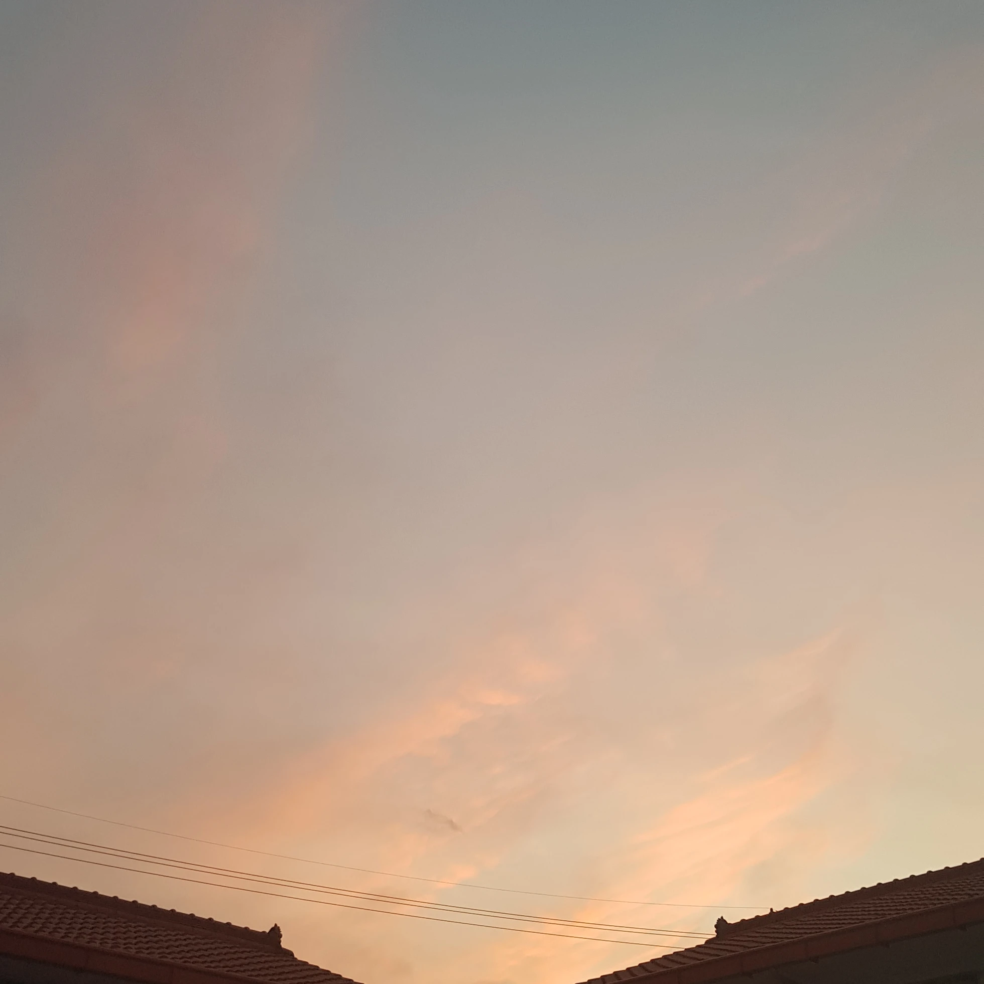 오뉴