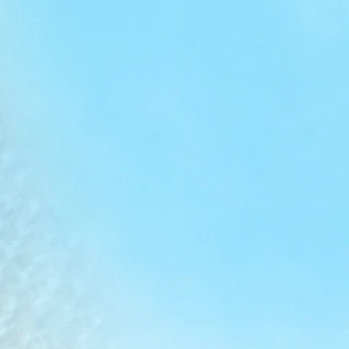 리캐