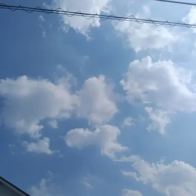 Profile image of じゅのん