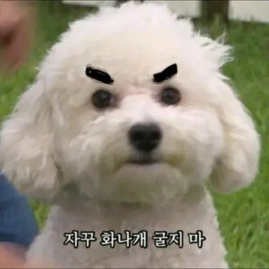 Profile image of 늑대