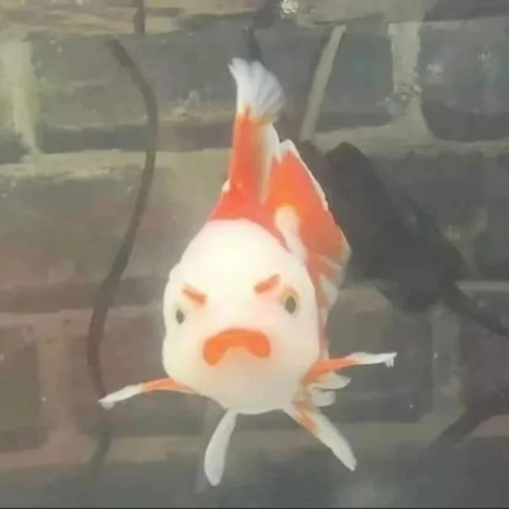 킬러의친구들