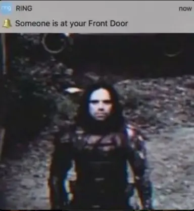 Profile image of Bucky