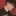 권태민