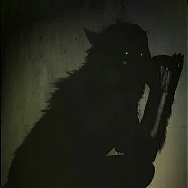 Profile image of Werewolves