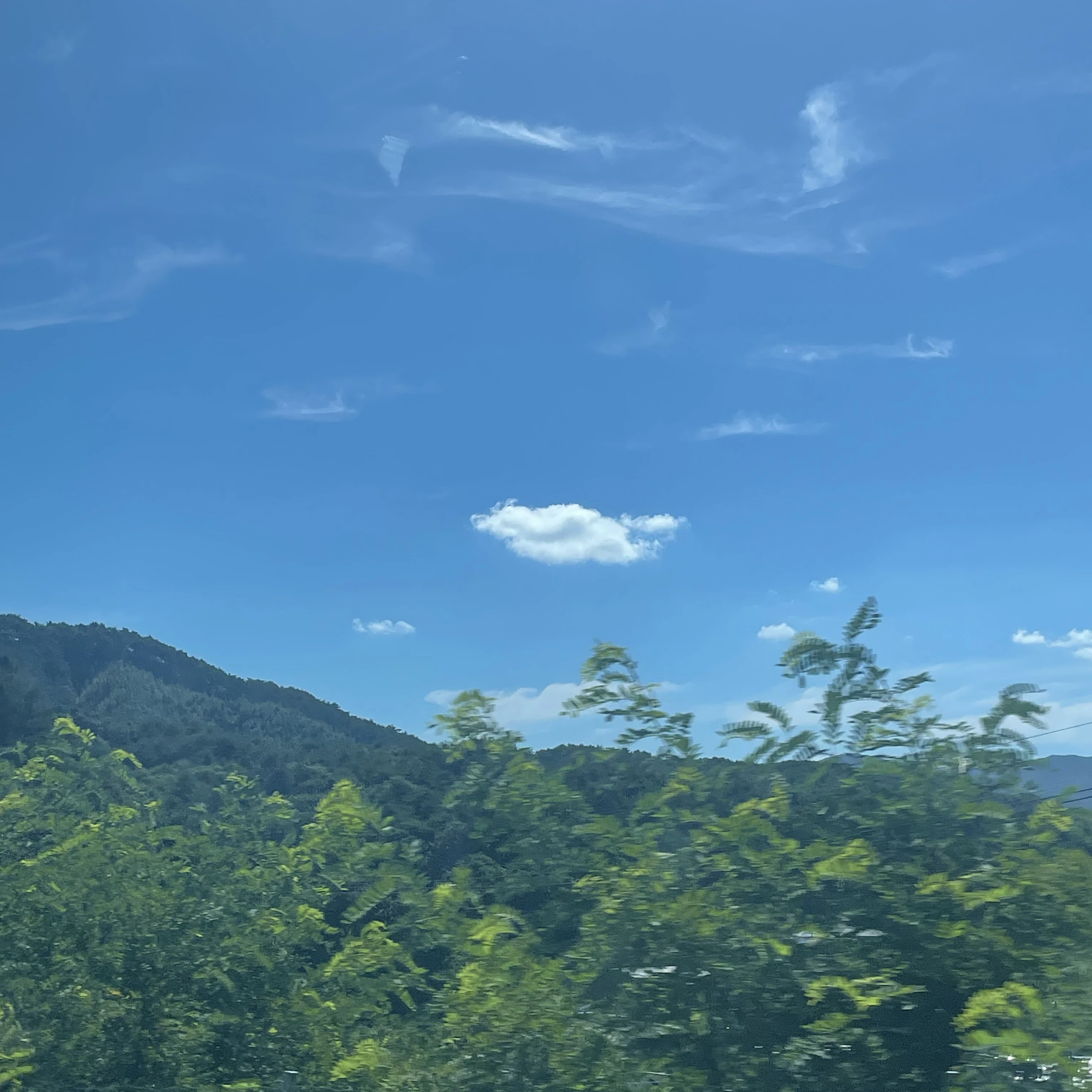 잠뜰TV
