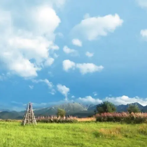 JollyGauge4845의 마음대로