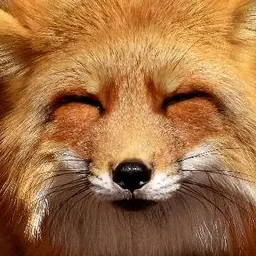 Profile image of 여우쿠키