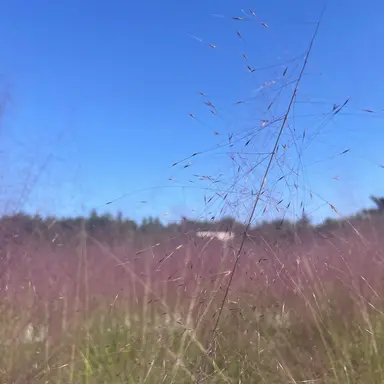 Profile image of 유 권