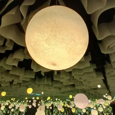 Profile image of 하나자와 테루키