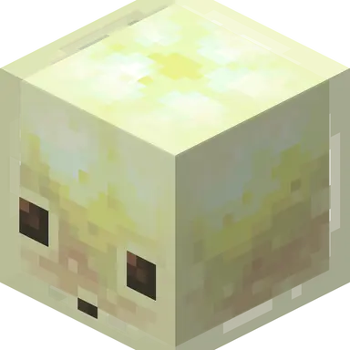Profile image of 주민 지도제작자