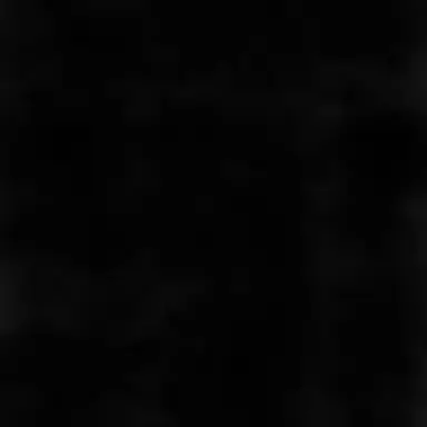 Profile image of 천카이원