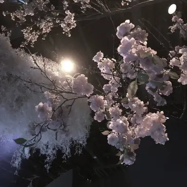 Profile image of 육성지