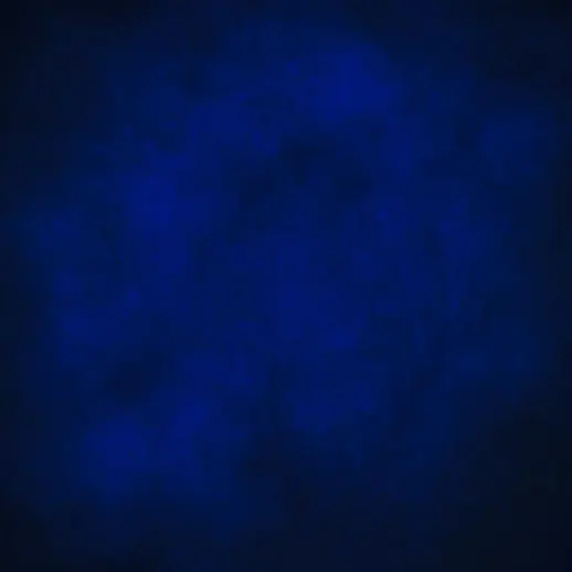 minimumfeng의 振られたところから始まり