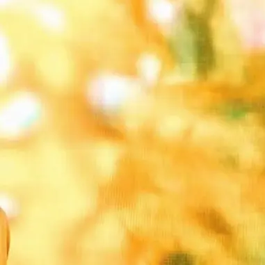 Profile image of Ryoka Fujisawa