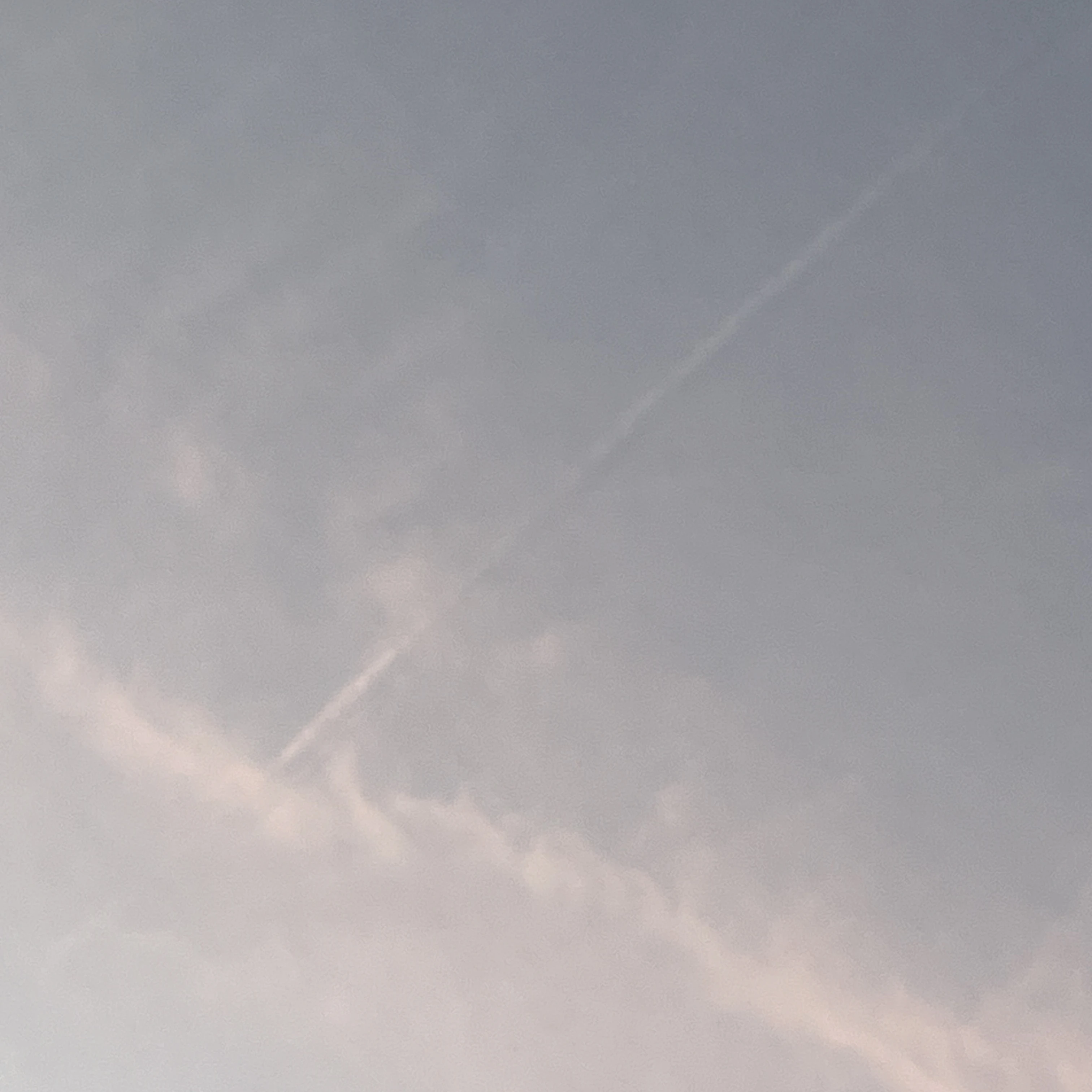 싸이코드 -가족-