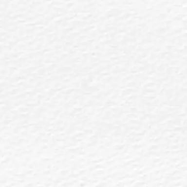 Profile image of 白岩瑠姫