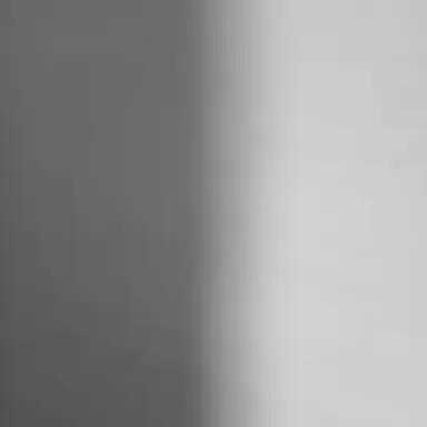 Profile image of 이정호