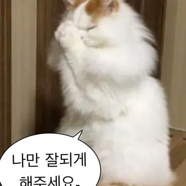 Profile image of 네코