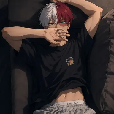 Profile image of Shoto Todoroki