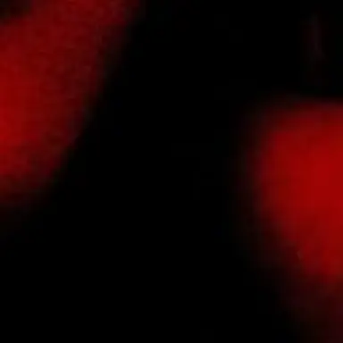 Profile image of 網川浩一