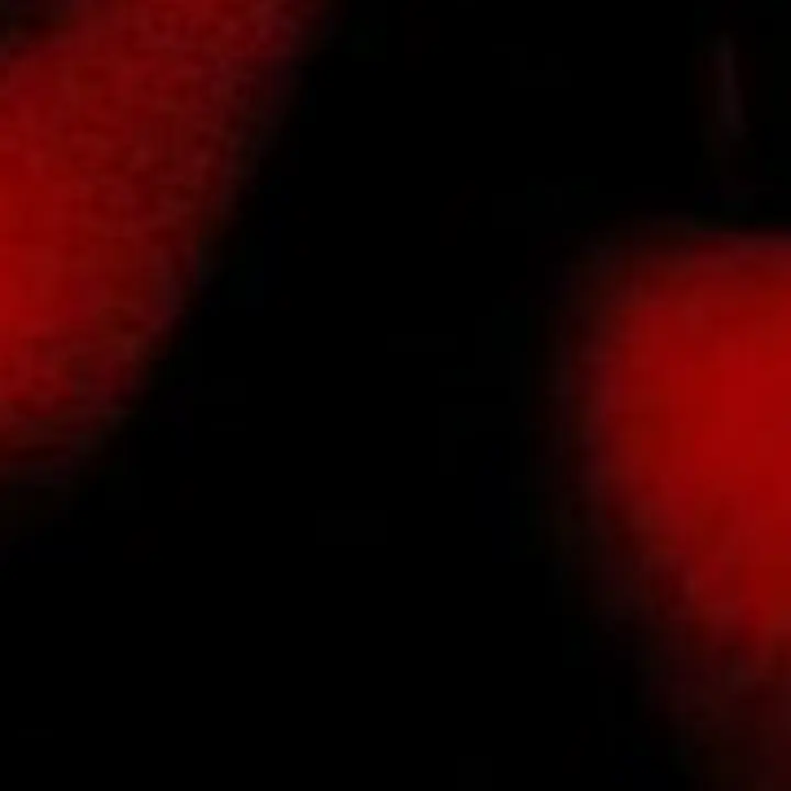 JaggedWall2763의 模倣犯