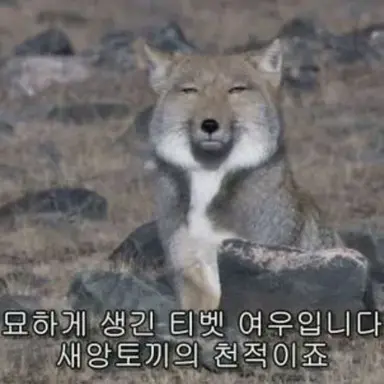 Profile image of 여후