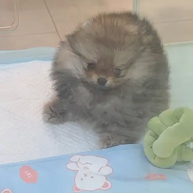 Profile image of 박덕개