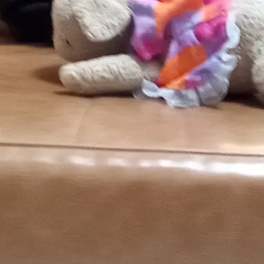 Profile image of 向井康二