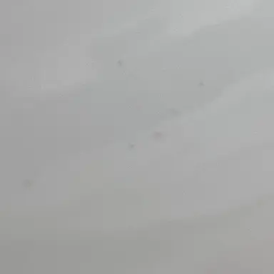 Profile image of 민종