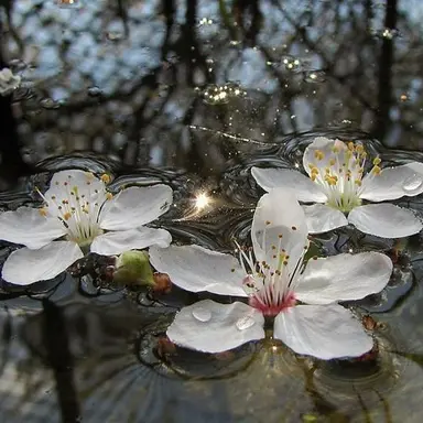 Profile image of 강기문