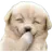 시민들